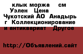 клык моржа 77 см  Уэлен › Цена ­ 7 000 - Чукотский АО, Анадырь г. Коллекционирование и антиквариат » Другое   